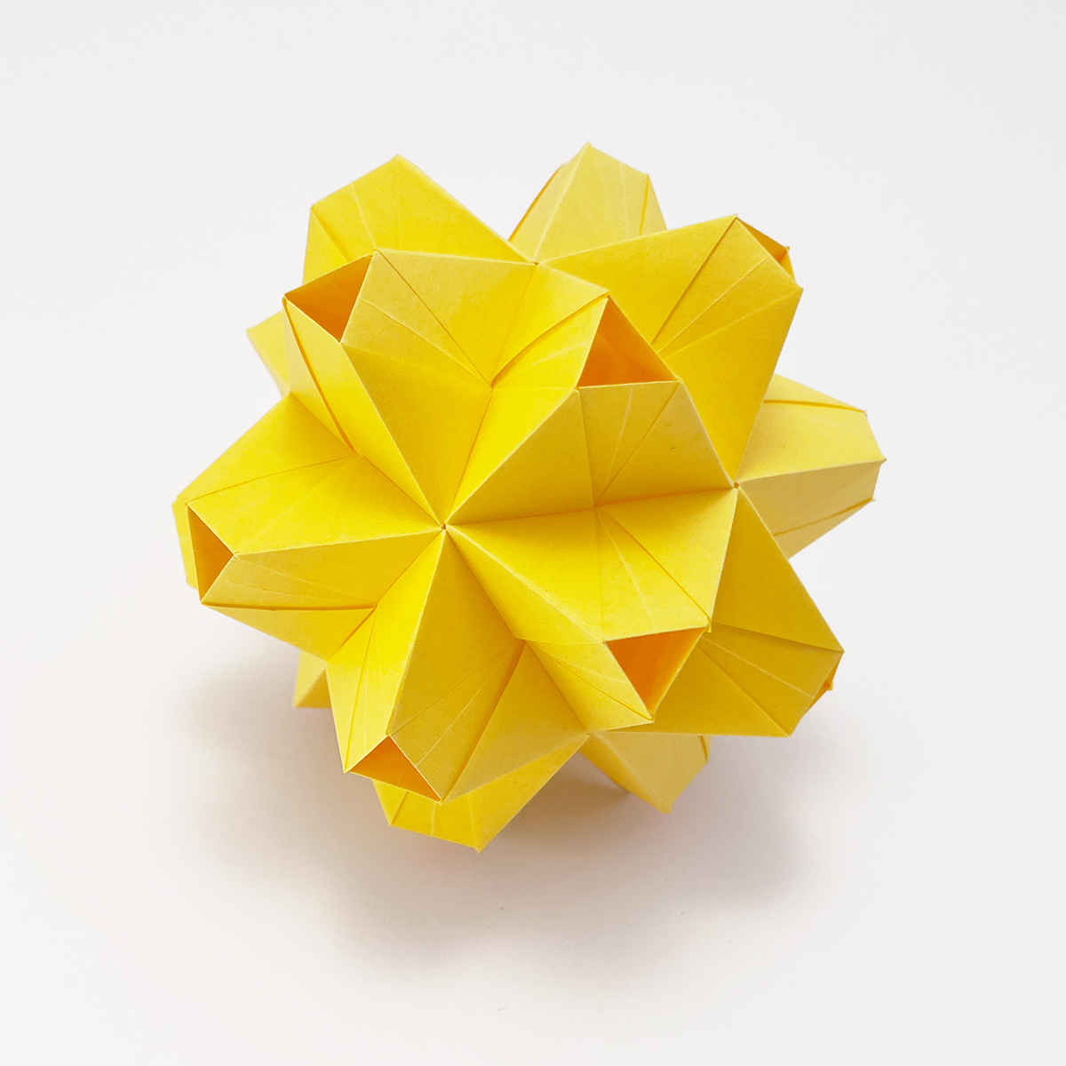 Model: Variation of Little Turtle (30 units) designed by Tomoko Fuse folded and photographed by Stephanie Gruschka